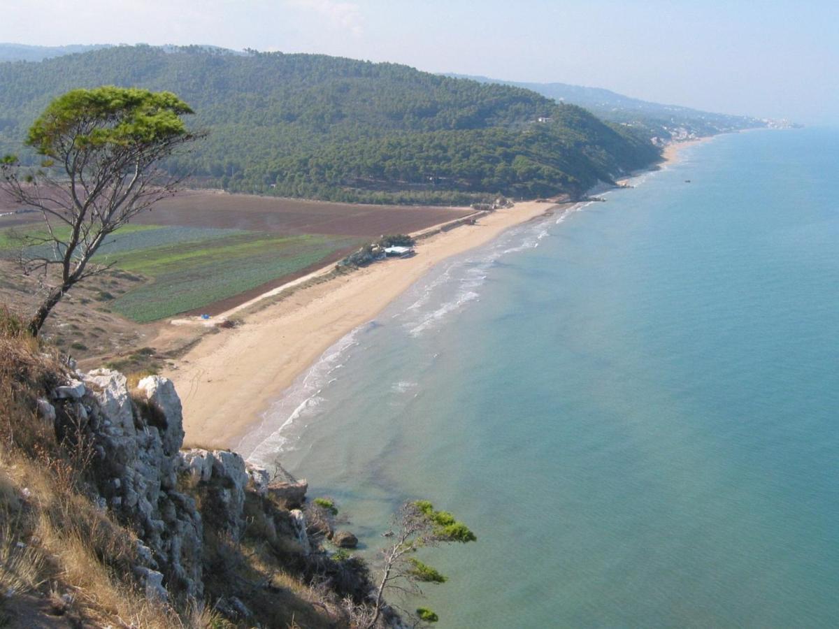 Villa Pineta 산 메나이오 외부 사진