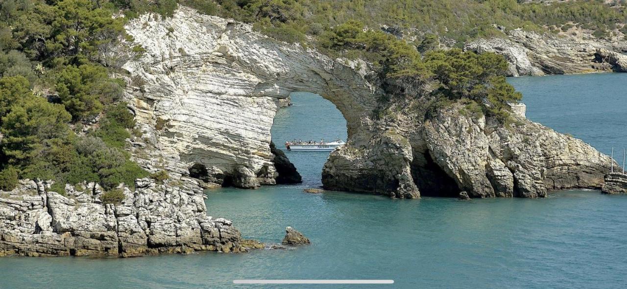 Villa Pineta 산 메나이오 외부 사진