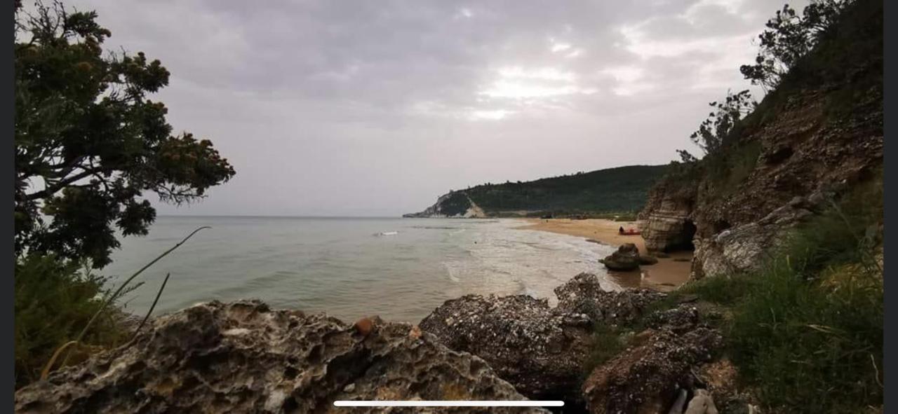 Villa Pineta 산 메나이오 외부 사진