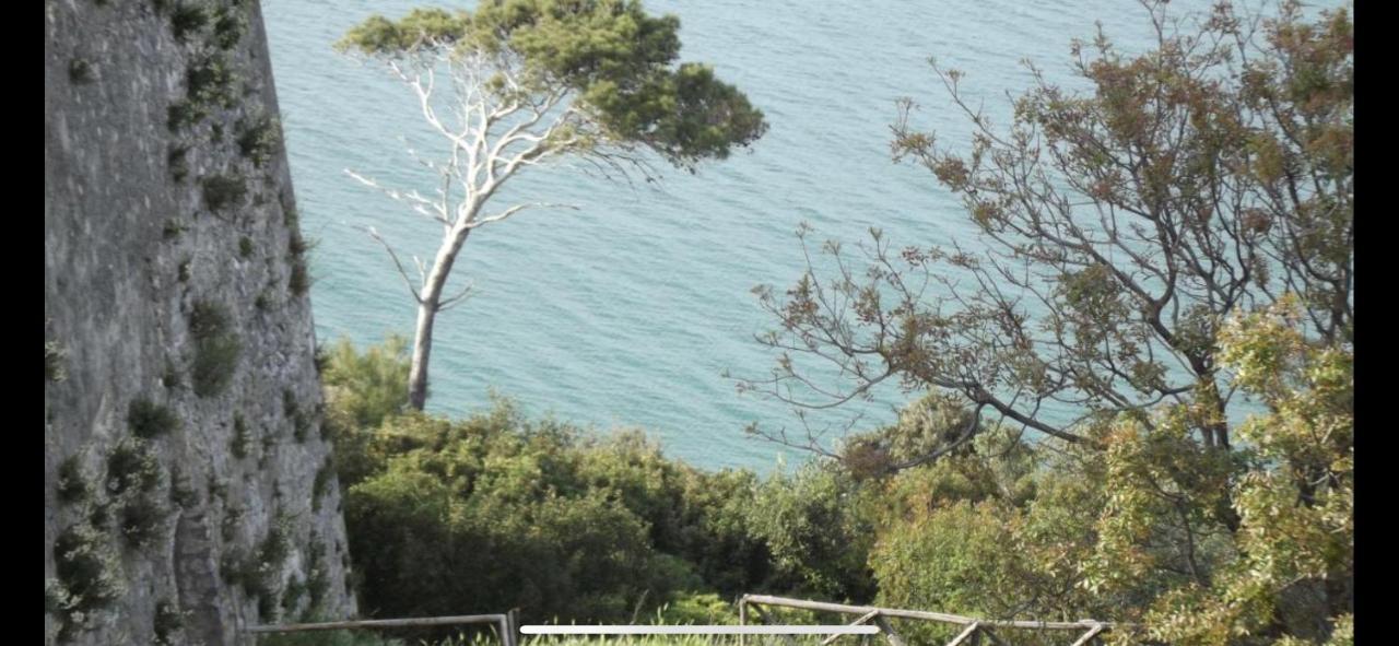 Villa Pineta 산 메나이오 외부 사진